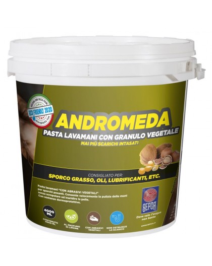 Pasta lavamani Andromeda Lt. 4 PER SPORCHI PESANTI