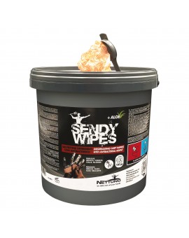 SENDY WIPES secchiello da 100 salviettine cm 26x27 in TNT impregnate