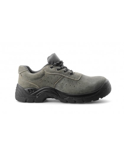 Grigio