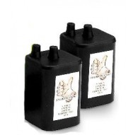 Batteria ecologica a secco da 6 volts