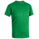 T-Shirt girocollo SKY Verde prato